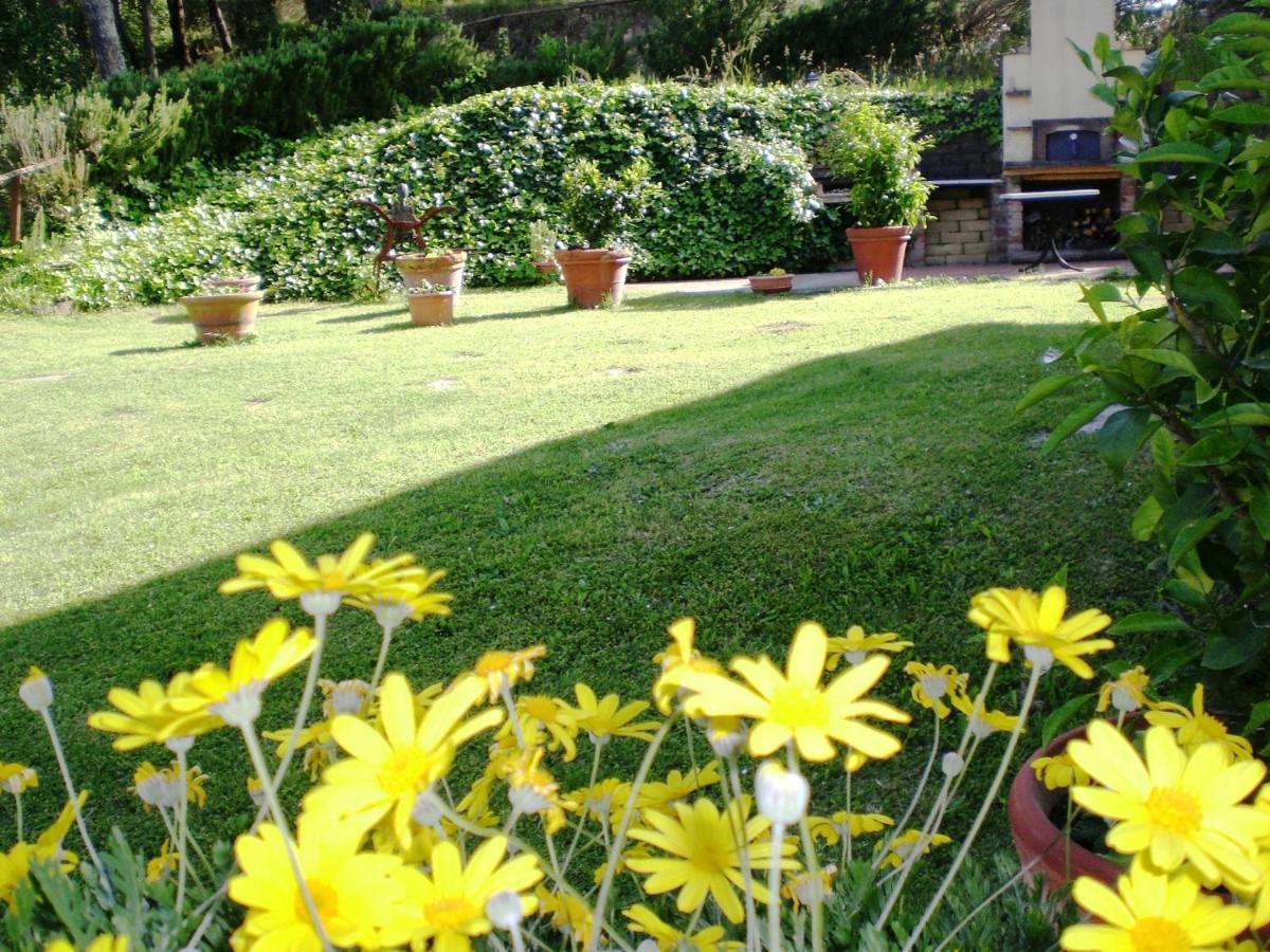 Agriturismo Santa Barbara 산미니아토 외부 사진